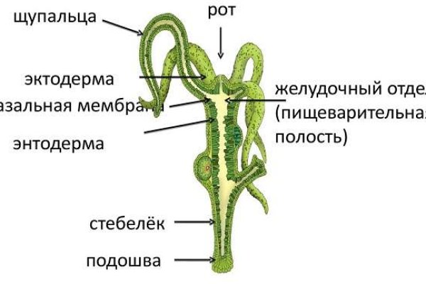 Кракен маркетплейс как зайти